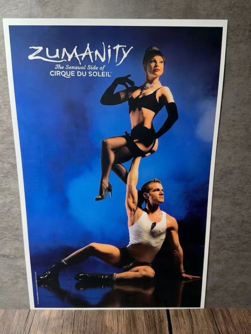 Vintage Cirque du Soleil "Mystère" Promo Poster – 11x17” Art Print